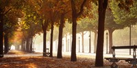 France, Paris, Champs Elysees Fine Art Print