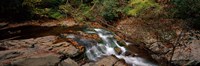 White Water The Great Smoky Mountains TN USA Fine Art Print