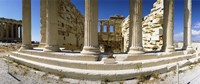 Ruins of a temple, Parthenon, The Acropolis, Athens, Greece by Panoramic Images - 36" x 12"