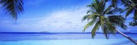 Ocean, Island, Water, Palm Trees, Maldives Fine Art Print