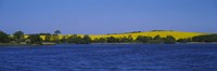 Lake in front of a rape field, Holstein, Schleswig-Holstein, Germany Fine Art Print