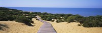 Boardwalk on the beach, Cuesta De Maneli, Donana National Park, Huelva Province, Spain Fine Art Print