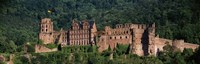 Castle on a hillside, Heidelberg, Baden-Wurttemberg, Germany Fine Art Print