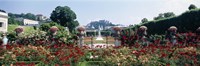 Flowers in a formal garden, Mirabell Gardens, Salzburg, Salzkammergut, Austria Fine Art Print
