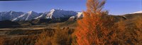 Castle Hill Basin Torlesse Mountains New Zealand Fine Art Print