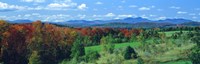 Autumn Trees VT Fine Art Print