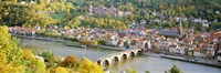 Aerial view of Heidelberg Castle and city, Heidelberg, Baden-Wurttemberg, Germany Fine Art Print