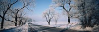 Road passing through winter fields, Illinois, USA Fine Art Print