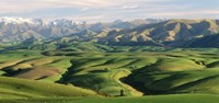 Farmland S Canterbury New Zealand Fine Art Print
