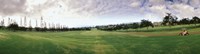 Golf Course Maui HI USA Fine Art Print
