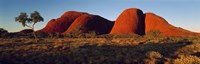 The Olgas N Territory Australia Fine Art Print