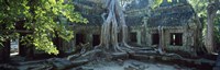 Wat Temple Complex of Ta-Prohm Cambodia Fine Art Print