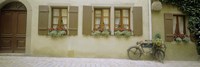 Bicycle outside a house, Rothenburg Ob Der Tauber, Bavaria, Germany by Panoramic Images - 36" x 12"