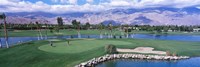 Golf Course, Palm Springs, California, USA Fine Art Print