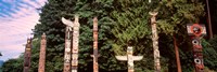 Totem poles in a park, Stanley Park, Vancouver, British Columbia, Canada Fine Art Print