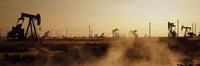 Oil drills in a field, Maricopa, Kern County, California Fine Art Print