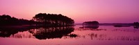 Panoramic View Of The National Forest During Sunset, Chincoteague National Wildlife Refuge, Virginia, USA Fine Art Print