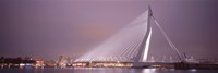 Erasmus Bridge, Rotterdam, Holland, Netherlands by Panoramic Images - 36" x 12" - $34.99