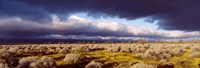 Clouds, Mojave Desert, California, USA Fine Art Print