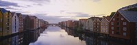 Houses on both sides of a river, Trondheim, Sor-Trondelag, Norway by Panoramic Images - 36" x 12"