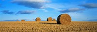 Hay Bales, Scotland, United Kingdom Fine Art Print