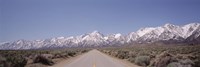 USA, California, Sierra Nevada, Bushes on both sides of a road Fine Art Print