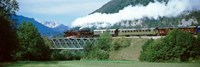 Train on a bridge, Bohinjska Bistrica, Slovenia Fine Art Print