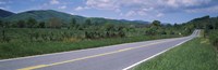 Road passing through a landscape, Virginia State Route 231, Madison County, Virginia, USA Fine Art Print
