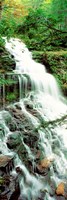 Ganoga Falls Ricketts Glenn State Park PA Fine Art Print