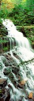 12" x 36" Waterfall Pictures