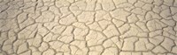 Dried Mud Death Valley CA USA by Panoramic Images - 36" x 12"