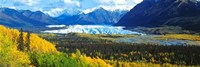 Mantanuska Glacier AK USA Fine Art Print