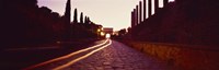 Ruins along a road at dawn, Roman Forum, Rome, Lazio, Italy Fine Art Print