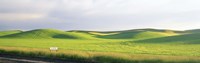 Eden Train Stop, Palouse, Whitman County, Washington State, USA Fine Art Print