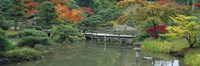 Plank Bridge, The Japanese Garden, Seattle, Washington State, USA Fine Art Print