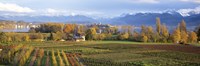 Farm, Rapperswil, Zurich, Switzerland Fine Art Print