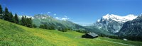 Grindelwald Switzerland Fine Art Print