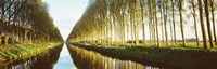 Belgium, tree lined waterway through countryside Fine Art Print