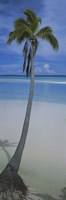 Palm tree on the beach, One Foot Island, Aitutaki, Cook Islands Fine Art Print