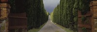 Road, Tuscany, Italy, Fine Art Print