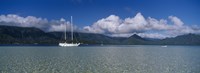 Sailboat in a bay, Kaneohe Bay, Oahu, Hawaii, USA by Panoramic Images - 36" x 12"