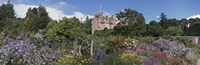 Crathes Castle Scotland Fine Art Print