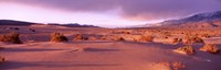 Olancha Sand Dunes, Olancha, California, USA Fine Art Print