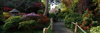 Japanese Tea Garden, San Francisco, California, USA Fine Art Print