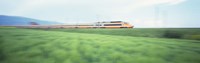 TGV High-speed Train passing through a grassland Fine Art Print