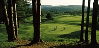 Four people playing golf, Country Club Of Vermont, Waterbury, Washington County, Vermont, USA by Panoramic Images - 36" x 12"
