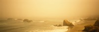 Fog over the beach, Mendocino, California, USA Fine Art Print