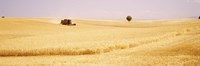 Tractor, Wheat Field, Plateau De Valensole, France Fine Art Print