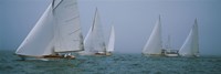 Sailboats at regatta, Newport, Rhode Island, USA Fine Art Print