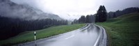 Wet highway passing through a forest, Austria Fine Art Print